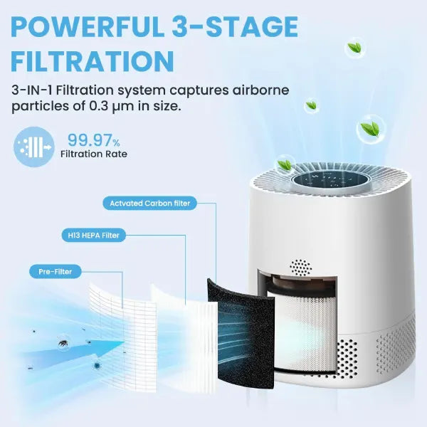 AirLume Air Cleaners for House US8
