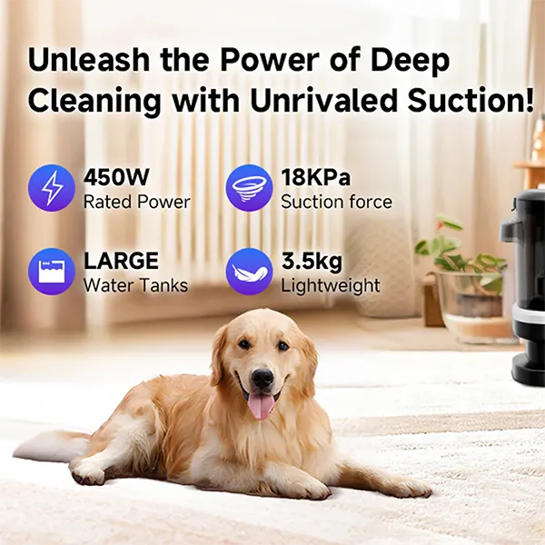 Carpetiva Carpet Cleaners US08