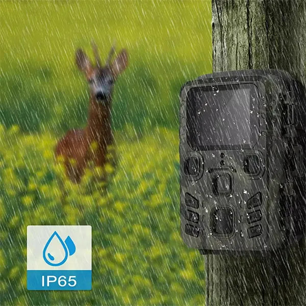 TigerCam Game Trail Cameras