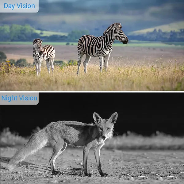TigerCam Game Trail Cameras