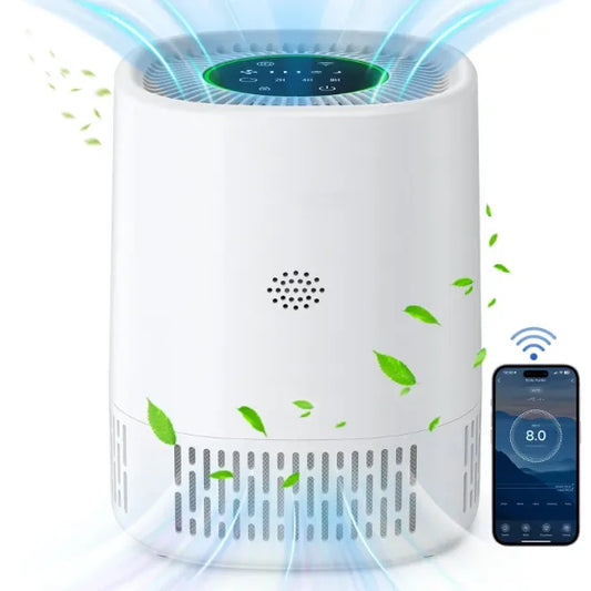 AirLume Air Cleaners for House US8